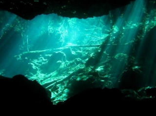  Interior of a cenote 